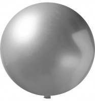 Zilver Metallic (5500) (± PMS 877)