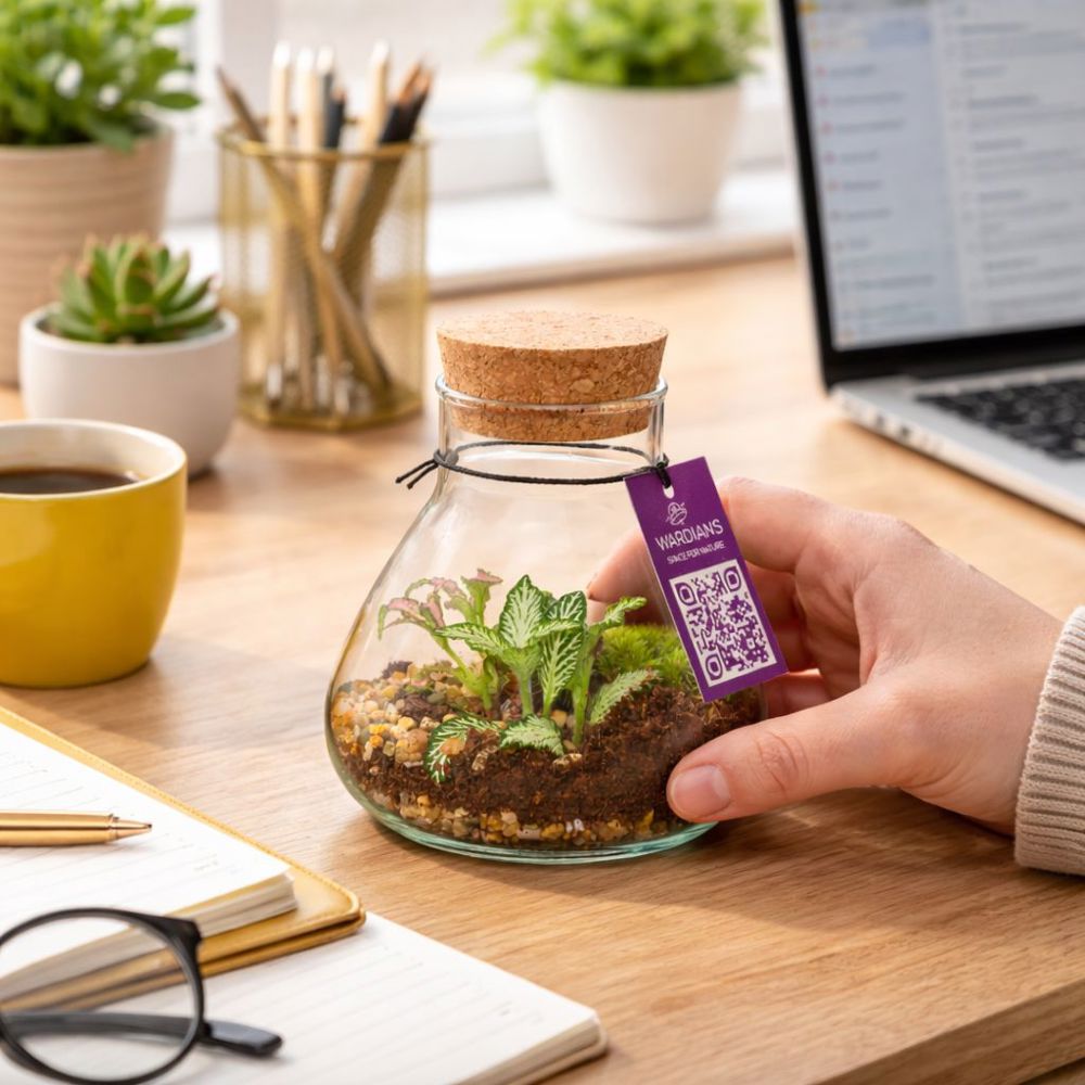 Wardians® Ecosystem - Erlenmeyer small, Zonder verpakking